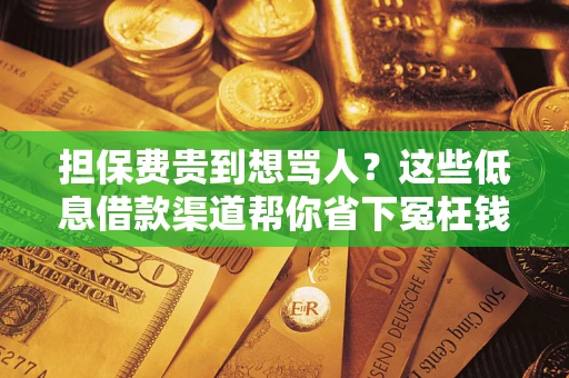 济南担保费贵到想骂人？这些低息借款渠道帮你省下冤枉钱
