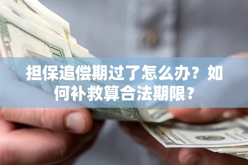 济南担保追偿期过了怎么办？如何补救算合法期限？