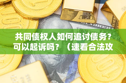 济南共同债权人如何追讨债务？可以起诉吗？（速看合法攻略）